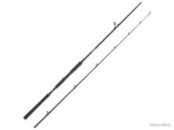 Canne Spinning Abu Garcia Beast 2 2m59 40 - 140g 223g