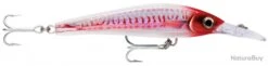 Leurre Rapala X-rap Magnum Xtreme 16 Cm HDRHU