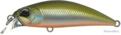 Leurre Duo Spearhead Ryuki 45 Sk MNI4047
