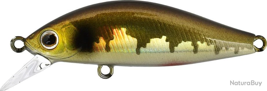 Leurre Zip Baits Rigge Flat 45 S VAIRON