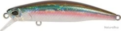 DUO TIDE MINNOW 90S ADA0213 OCEAN BAIT (D213)